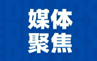 媒體聚焦 | “地瓜經(jīng)濟”為什么能贏？海亮股份是這樣做的