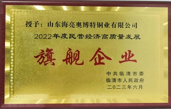 牛！山東海亮榮獲“2022年度民營經(jīng)濟(jì)高質(zhì)量發(fā)展旗艦企業(yè)”稱號